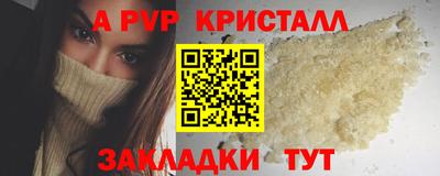 спайс Берёзовский