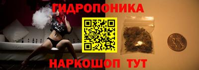 спайс Берёзовский