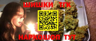 тгк Бийск