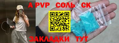 тгк Бийск
