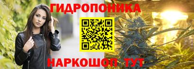 тгк Бийск