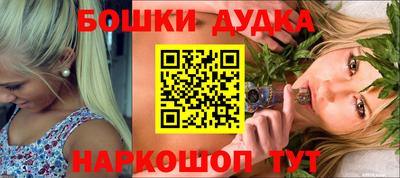 тгк Бийск