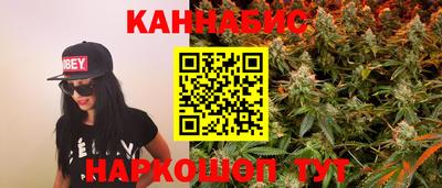 тгк Бийск