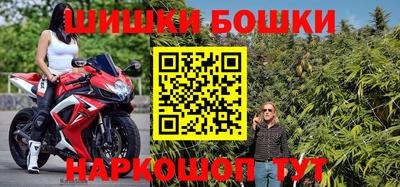 тгк Бийск