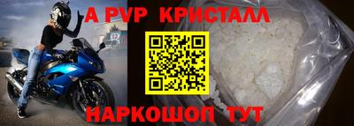 тгк Бийск