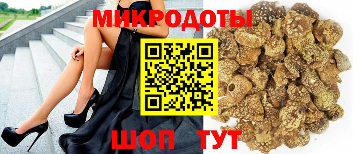 Галлюциногенные грибы Psilocybine cubensis  Вход с VPN  где купить наркотик  Псилоцибиновые грибы Psilocybe  Ачинск 